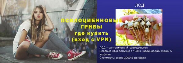 мдпв Нязепетровск